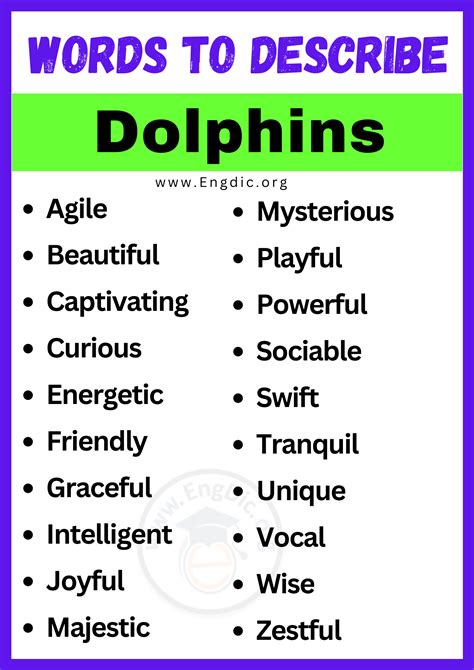 words about dolphins