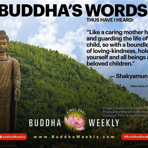 words of buddha 2015 with beautiful photographs and words of the buddha through the year 2015 calvendo faith