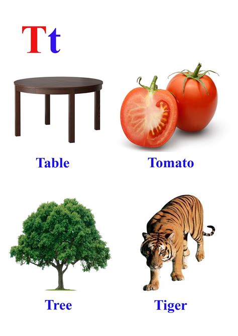 Words Starting With A T K5 Learning Pictures Starting With Letter T - Pictures Starting With Letter T