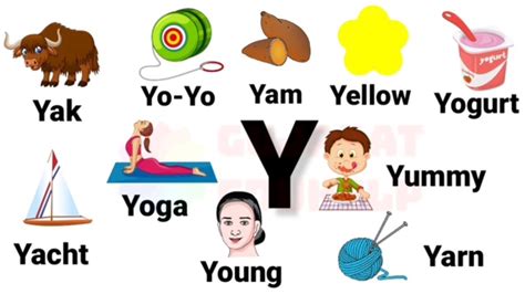 Words That Start With Letter Y Word Finder Letters Starting With Y - Letters Starting With Y