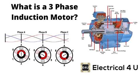 Working Principle Of 3 Phase Induction Motor
