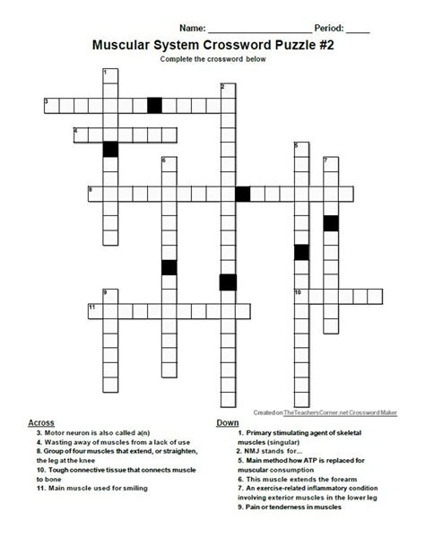 Worksheet Answer Muscular System Crossword Puzzle Answer Key Skeletal And Muscular System Worksheet Answers - Skeletal And Muscular System Worksheet Answers