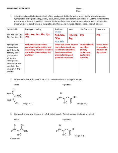 Worksheet Determination Of Protein Amino Acids From M Codon Worksheet Answer - Codon Worksheet Answer