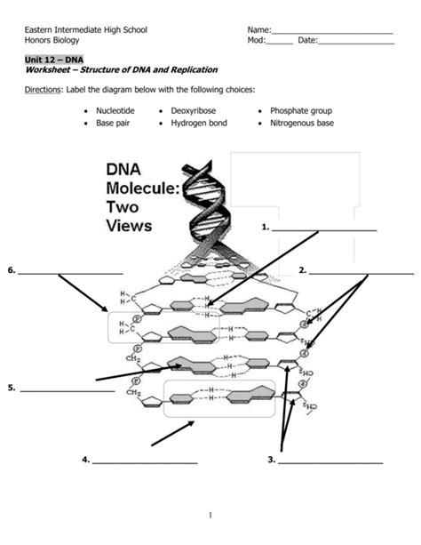 Worksheet Dna Structure And Replication Answer Key Studocu Dna Structure Coloring Answer Key - Dna Structure Coloring Answer Key