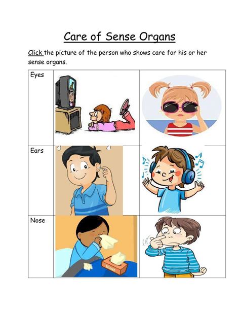Worksheet On Care Of The Sense Organs Care Sense Organ Worksheet - Sense Organ Worksheet