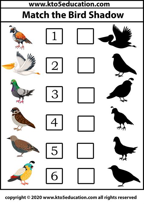 Worksheets On Birds For Kindergarten   Free Angry Birds Math Worksheets For Kindergarten - Worksheets On Birds For Kindergarten