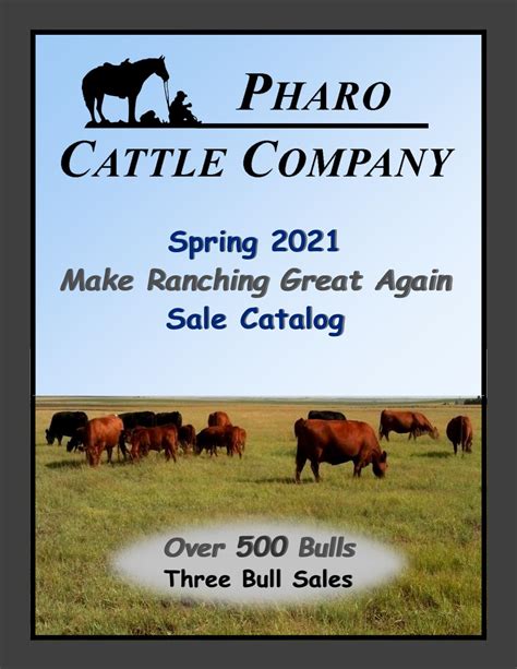 Worksheets Pharo Cattle Company There Their Worksheet - There Their Worksheet