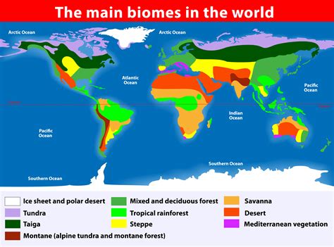 World Biomes Map Key And Coloring Activity For World Biomes Worksheet - World Biomes Worksheet