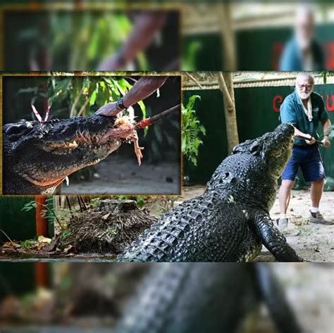 World Largest Choot