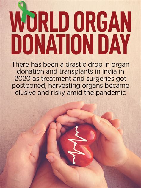 world organ donation day