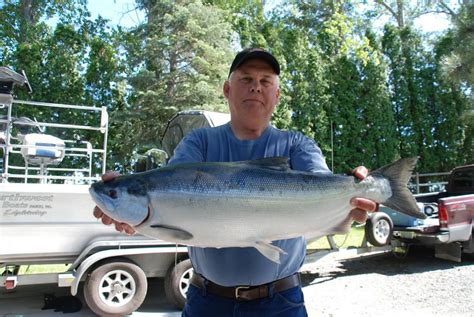 world record kokanee