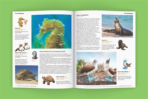 World Wildlife Catalog