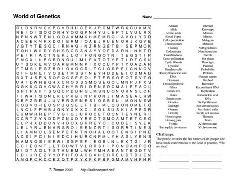 Read World Of Genetics Word Search Answers 