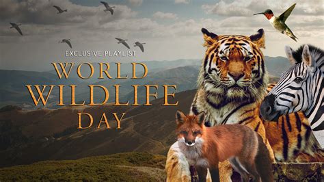 World Wildlife Day: Imagining a World Without Nature