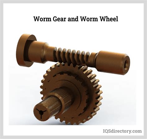 Worm And Wheel