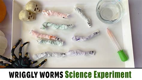 Worm Craft For Preschoolers Halloween Worms Mighty Kids Preschool Worm Worksheet - Preschool Worm Worksheet
