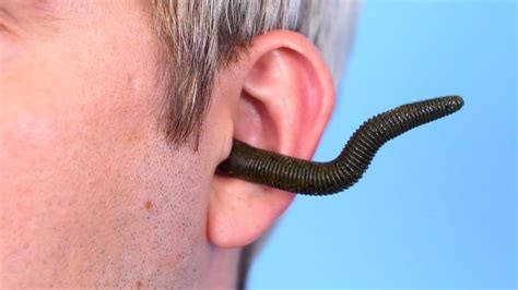 Worm In Ear