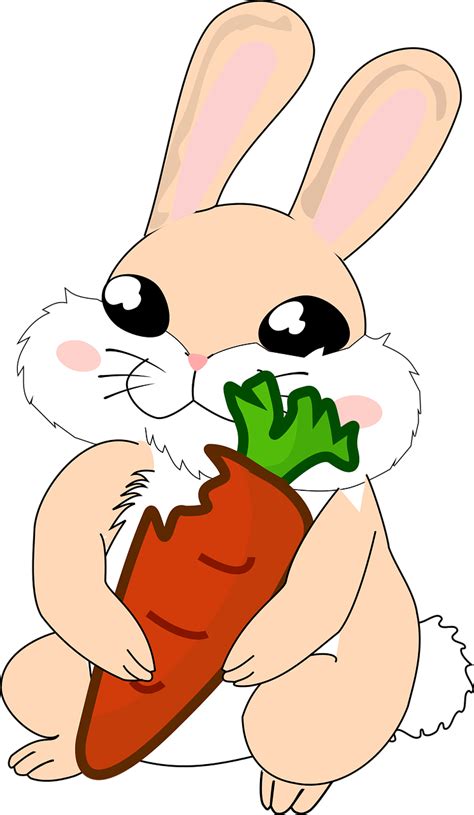 wortel kelinci