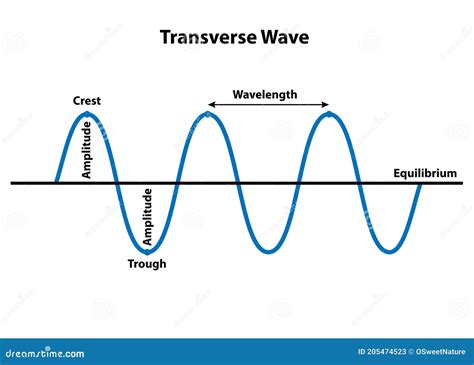 Wowaxy Beatdezernat Records De Transverse Wave Worksheet Answer Key - Transverse Wave Worksheet Answer Key