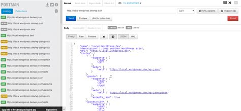 Wp Json Email