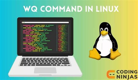 Wq Command In Linux