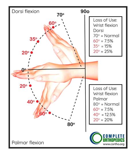Wrist Motion Of Y Involves