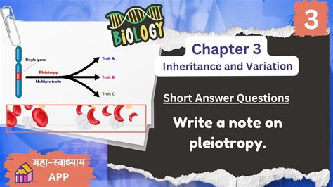 Write A Note On Pleiotropy