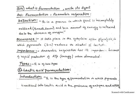 Write Short Notes Fermentation
