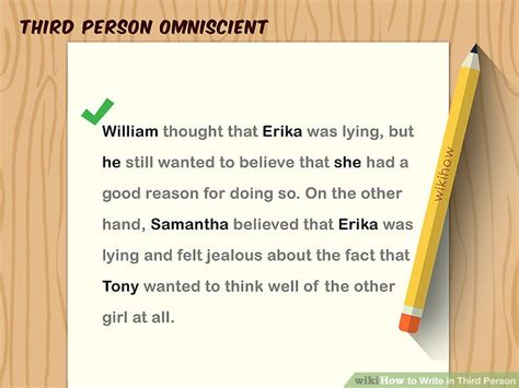 writing an essay in third person examples