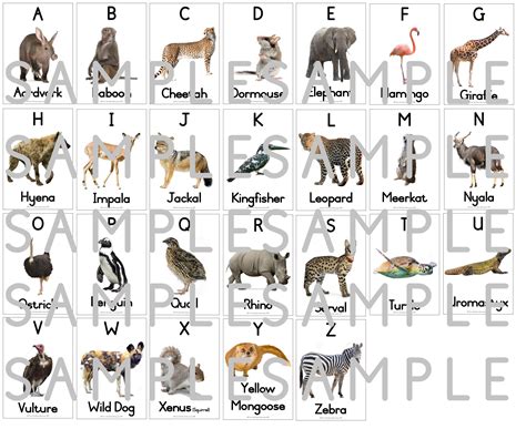 Writings From The Wild Animal Letter Subscription For Animal Writing - Animal Writing