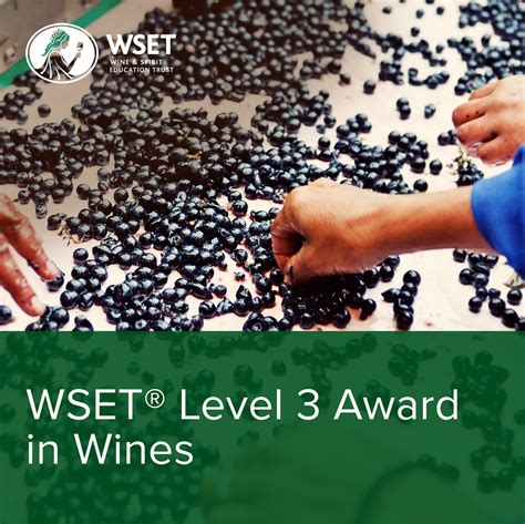 wset level 3 course