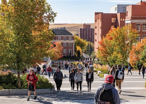 wsu pullman washington