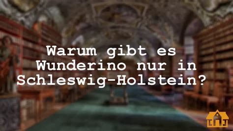 wunderino bonus schleswig holstein gjsj