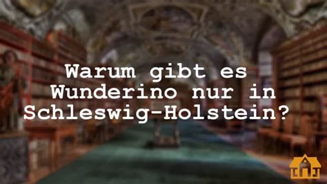 wunderino bonus schleswig holstein layg belgium