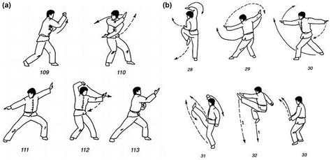 Wushu Training Exercise
