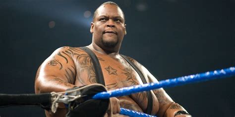 wwe viscera biography