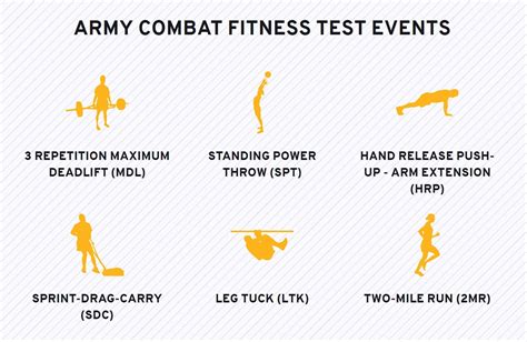 www.armycombatfitnesstest.com