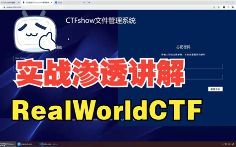 www.ctf.show