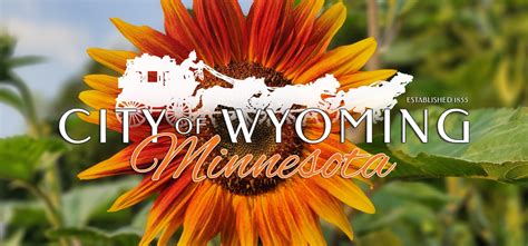 wyoming mn