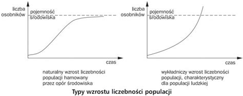 wzrost geometryczny
