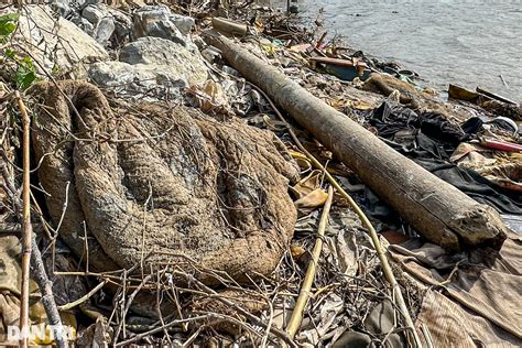 xác | Tra t xc T in Hn Nm