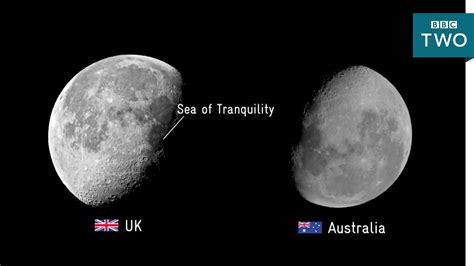 x moons australia womt
