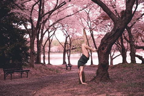 Download X Art Login User Guide 