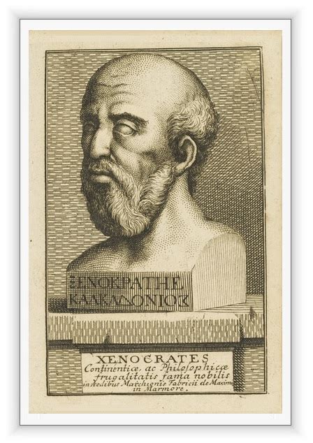 xenocrates michaels