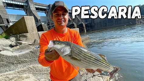 blackjack online: Apostando nas Melhores Apostas Desportivas Online com a Garantia de Segurança dos Fundos - Foto 2