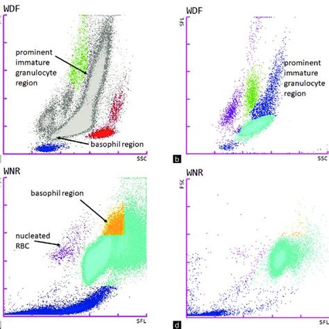 codini.rgarabwor.edu.pl. 