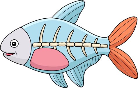 Xray Fish Clip Art