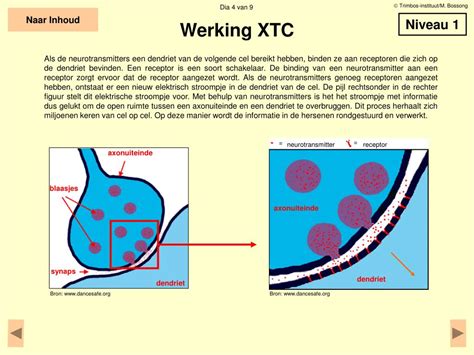 xtc werking