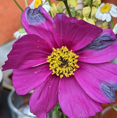 xxxxxxxxxxxxxxxxx gay