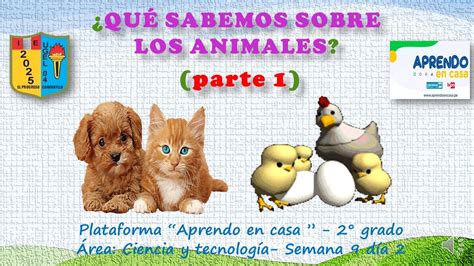 Read Y De Los Animales Qu Sabemos 
